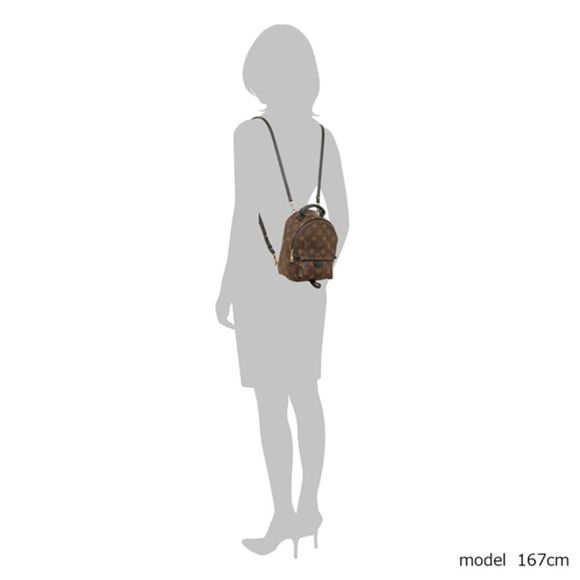 Louis Vuitton Backpack Monogram Brown Black - Picture 4 of 8